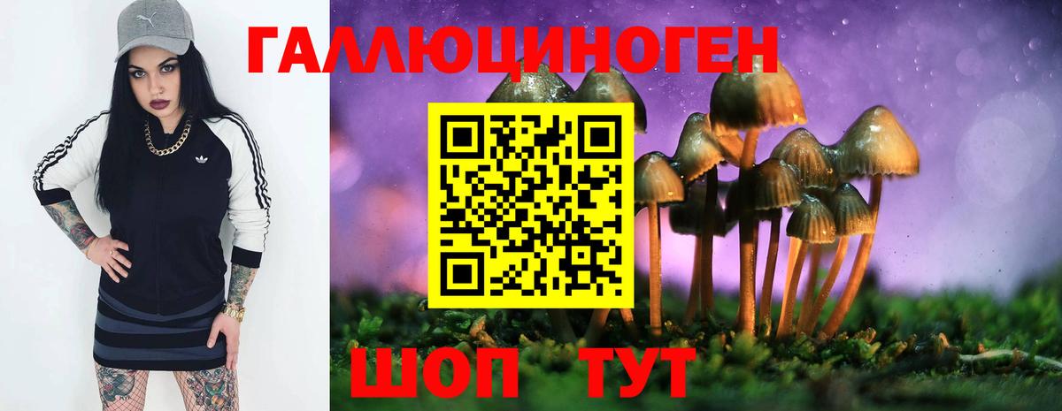 Назрань  Галлюциногенные грибы Magic Shrooms  Вход с VPN  Псилоцибиновые грибы MAGIC MUSHROOMS 