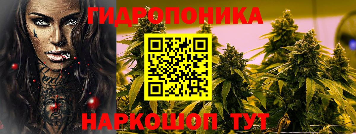 Бошки марихуана планчик Назрань